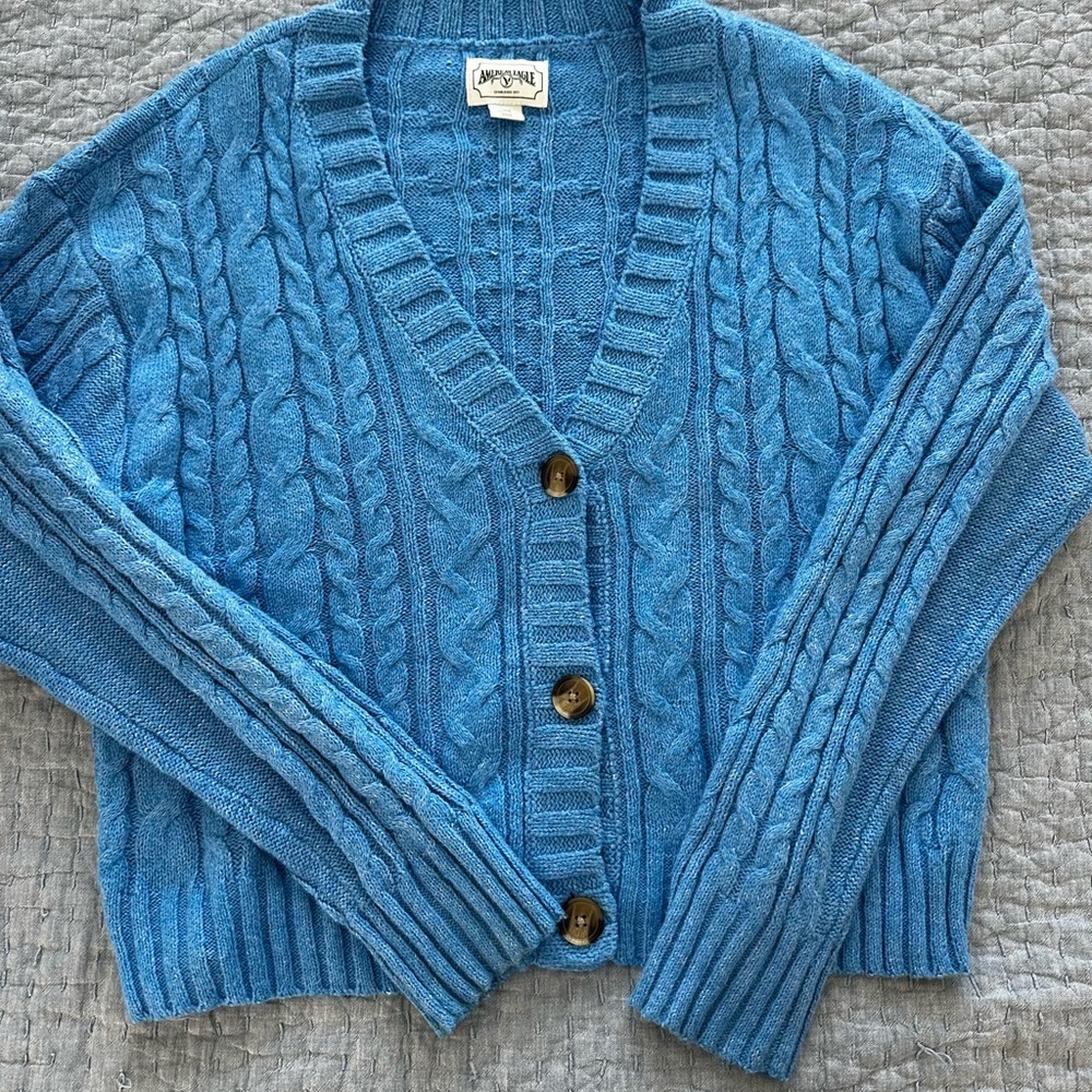 American Eagle Outfitters - Blue Cable Knit Cardigan (Large)